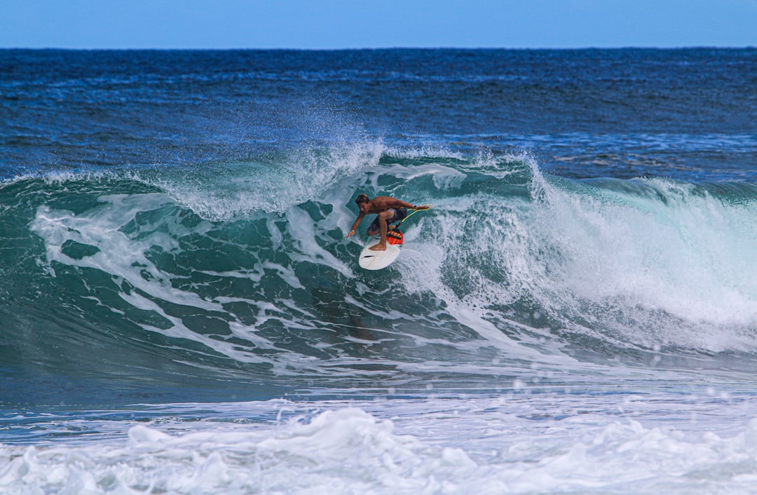 스픽 영어 왕초보 추천